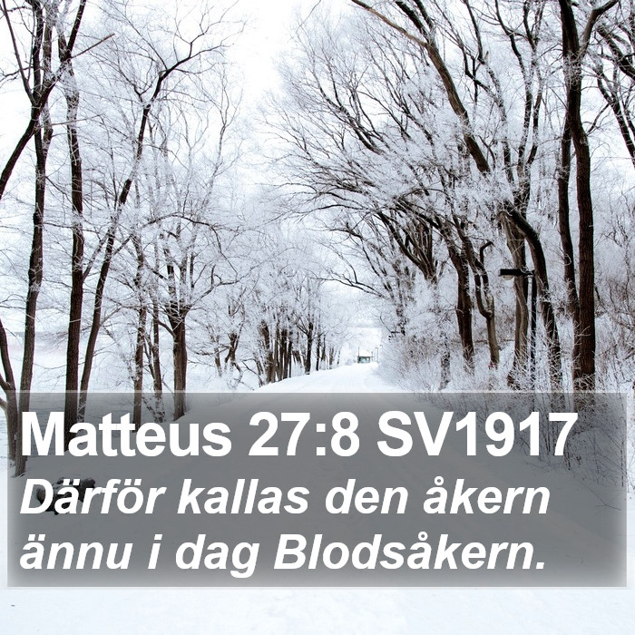 Matteus 27:8 SV1917 Bible Study