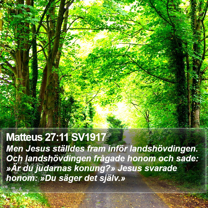 Matteus 27:11 SV1917 Bible Study