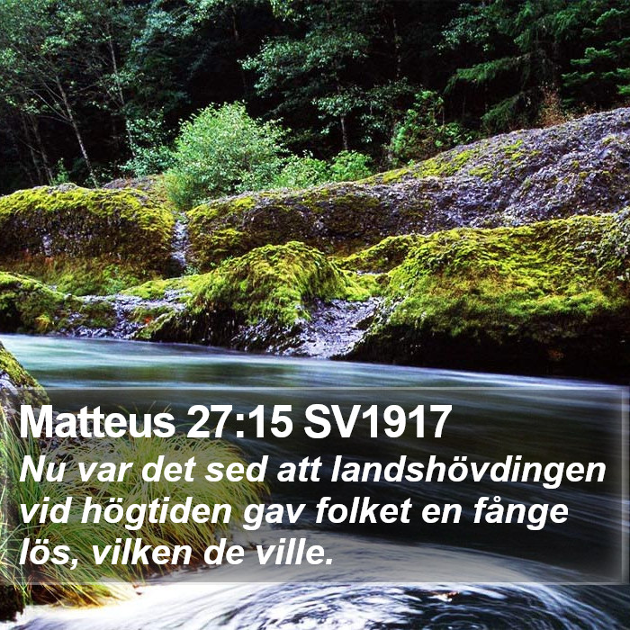 Matteus 27:15 SV1917 Bible Study