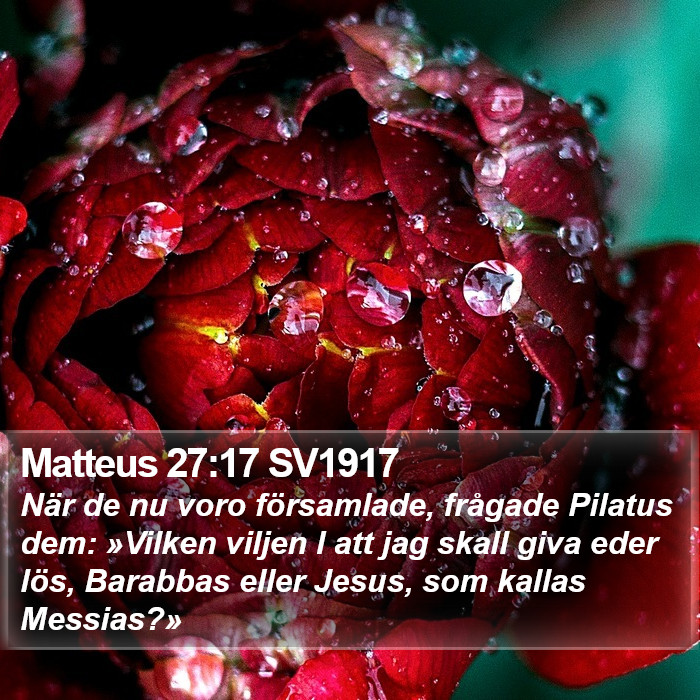 Matteus 27:17 SV1917 Bible Study