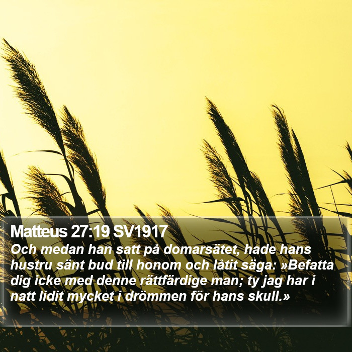 Matteus 27:19 SV1917 Bible Study