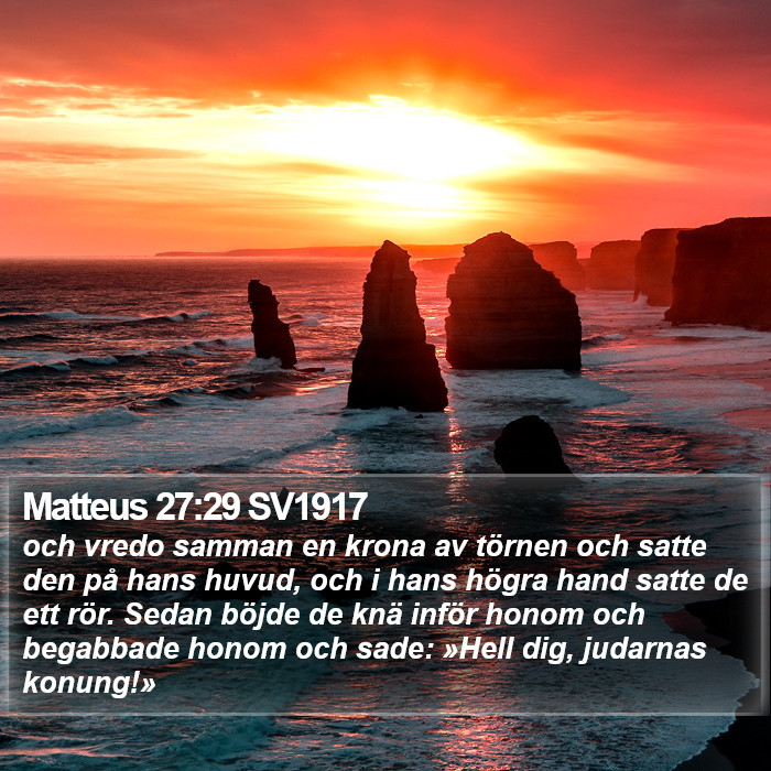 Matteus 27:29 SV1917 Bible Study