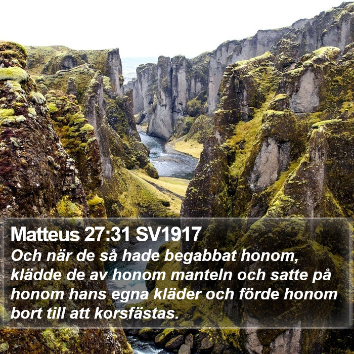 Matteus 27:31 SV1917 Bible Study