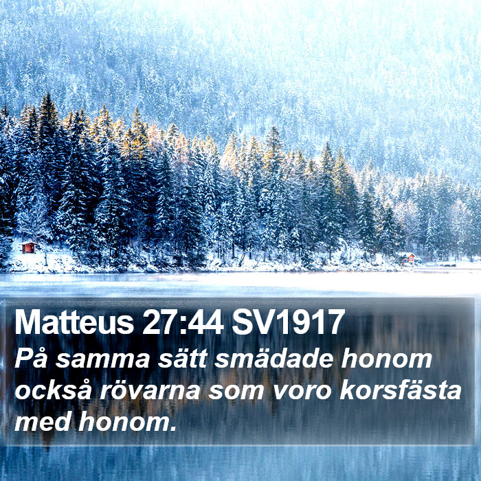 Matteus 27:44 SV1917 Bible Study