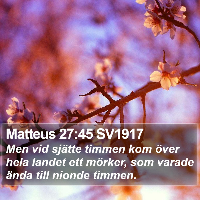 Matteus 27:45 SV1917 Bible Study