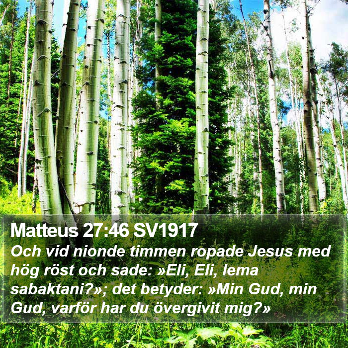 Matteus 27:46 SV1917 Bible Study