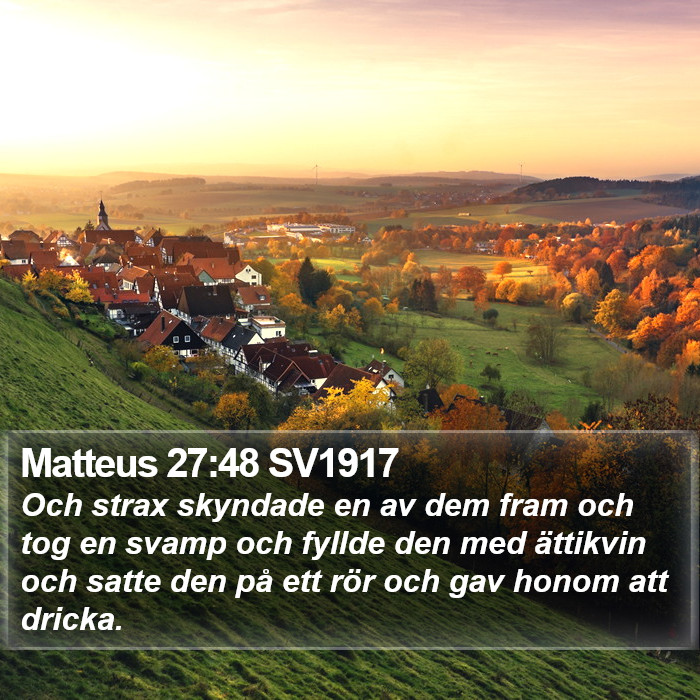 Matteus 27:48 SV1917 Bible Study