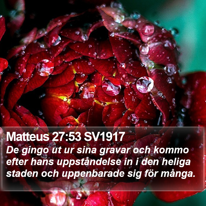 Matteus 27:53 SV1917 Bible Study