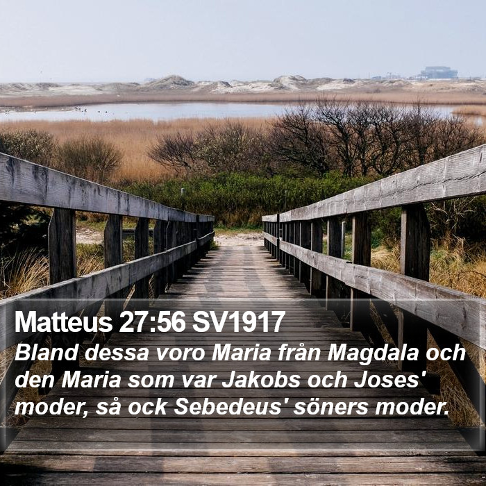 Matteus 27:56 SV1917 Bible Study