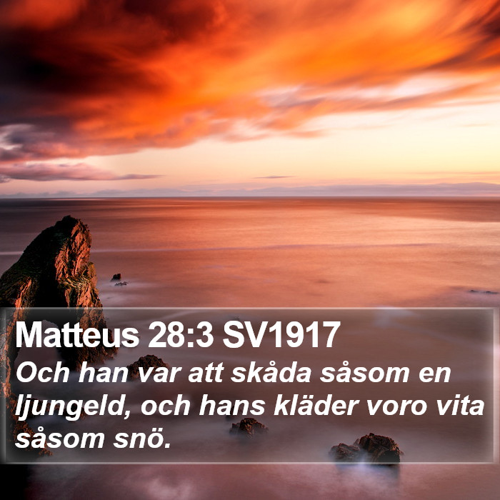 Matteus 28:3 SV1917 Bible Study