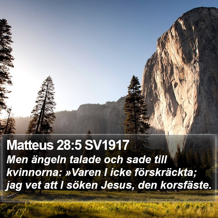 Matteus 28:5 SV1917 Bible Study