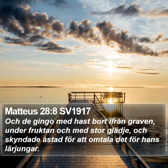 Matteus 28:8 SV1917 Bible Study