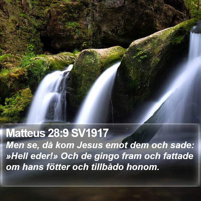 Matteus 28:9 SV1917 Bible Study