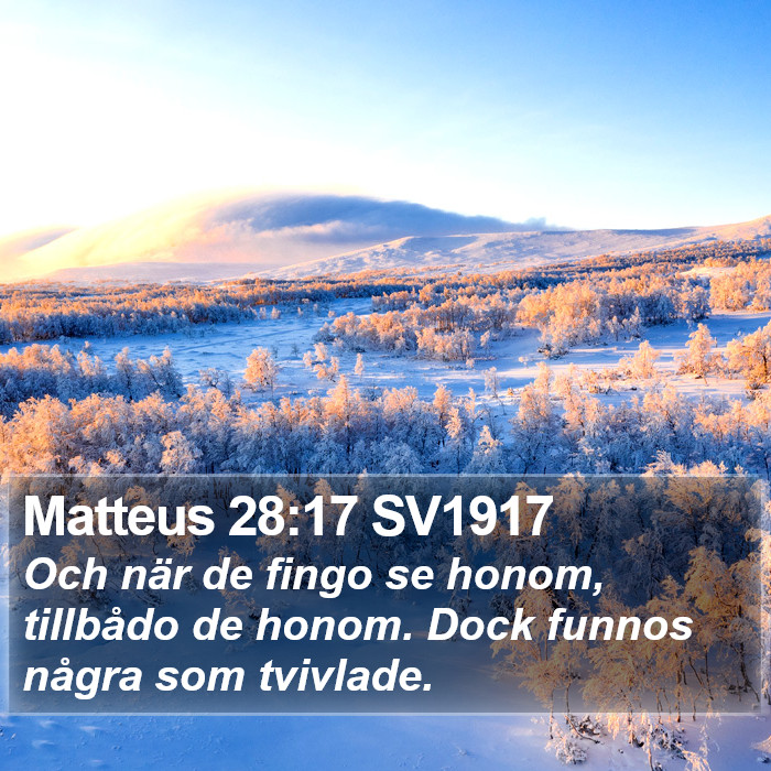 Matteus 28:17 SV1917 Bible Study