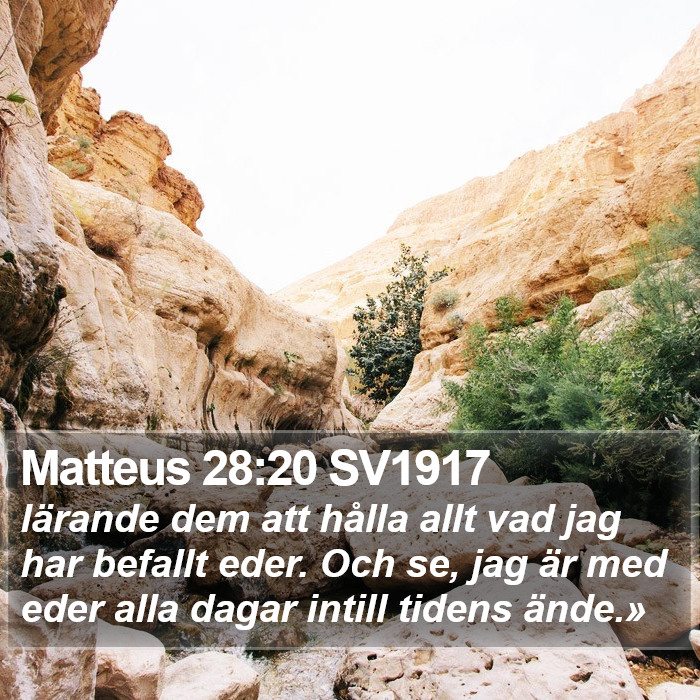 Matteus 28:20 SV1917 Bible Study
