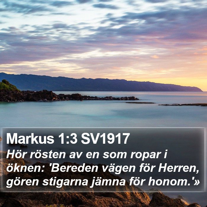 Markus 1:3 SV1917 Bible Study