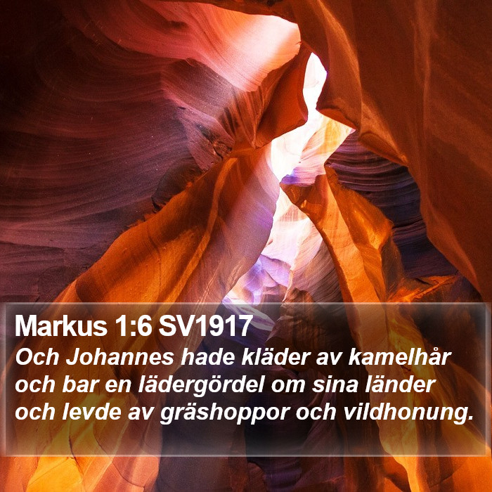 Markus 1:6 SV1917 Bible Study