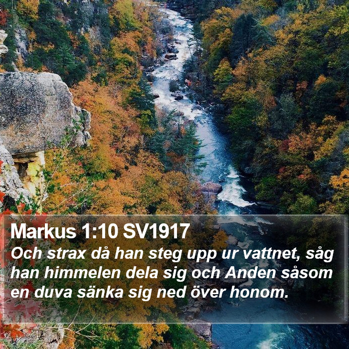 Markus 1:10 SV1917 Bible Study