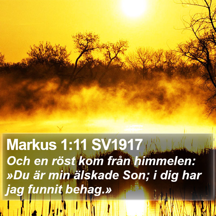 Markus 1:11 SV1917 Bible Study