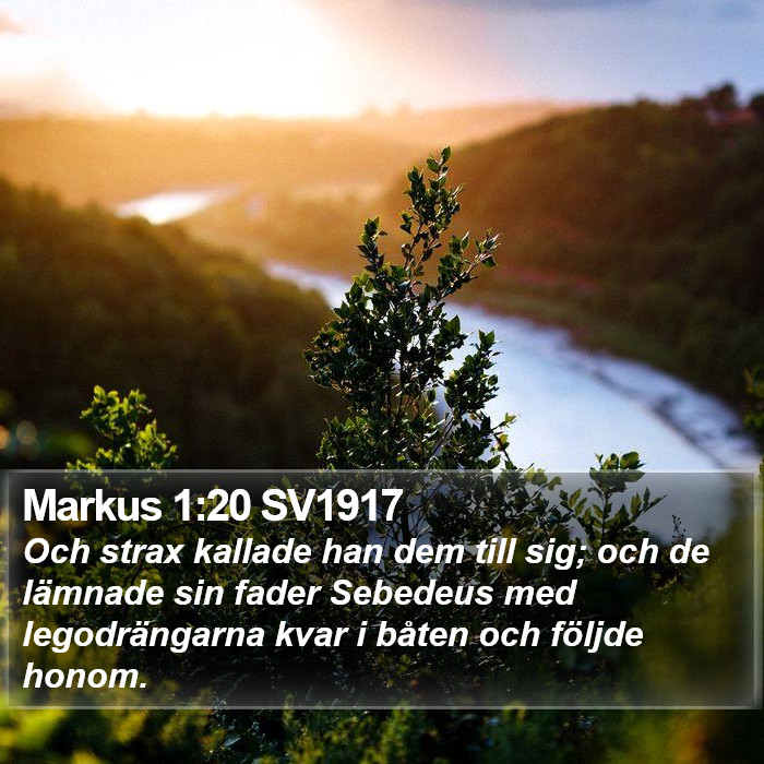 Markus 1:20 SV1917 Bible Study