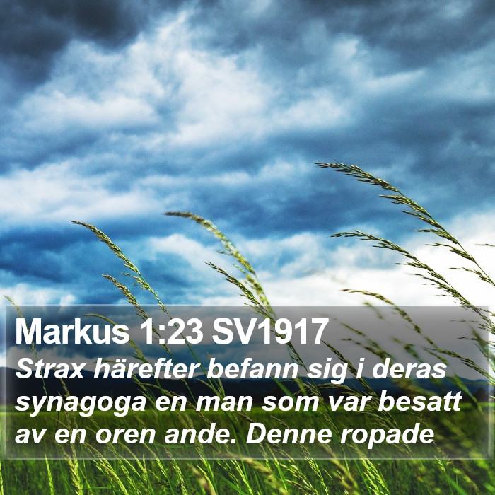 Markus 1:23 SV1917 Bible Study