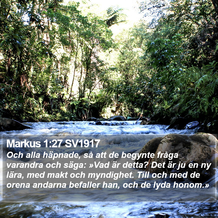 Markus 1:27 SV1917 Bible Study