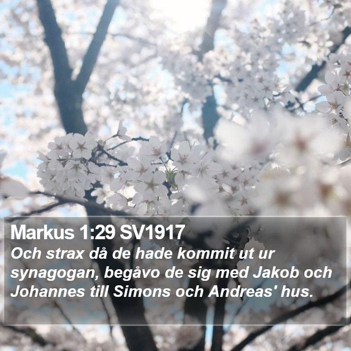 Markus 1:29 SV1917 Bible Study