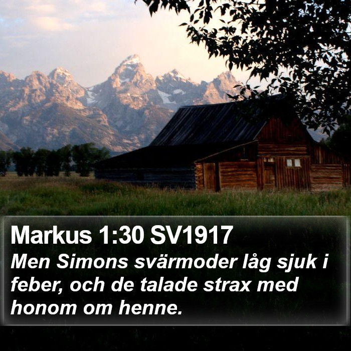 Markus 1:30 SV1917 Bible Study