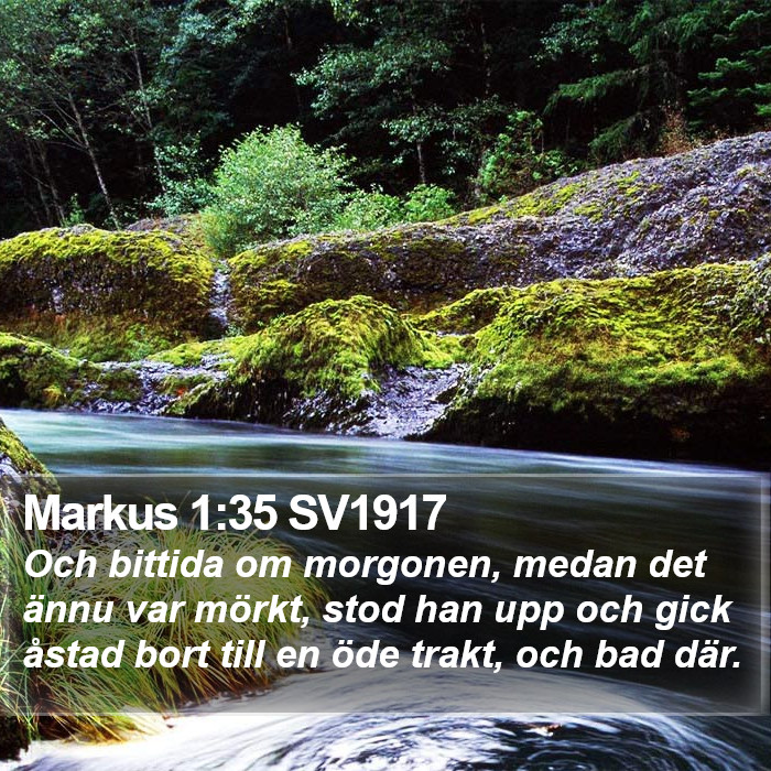 Markus 1:35 SV1917 Bible Study