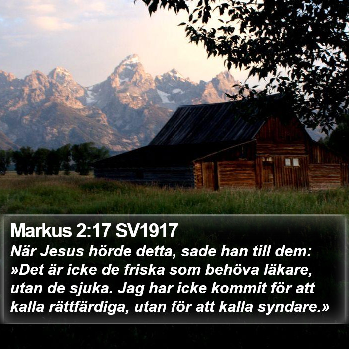 Markus 2:17 SV1917 Bible Study