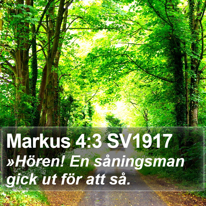 Markus 4:3 SV1917 Bible Study