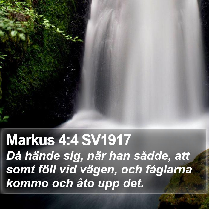 Markus 4:4 SV1917 Bible Study