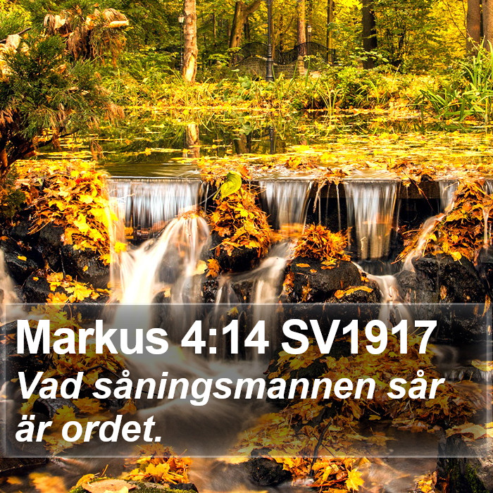 Markus 4:14 SV1917 Bible Study