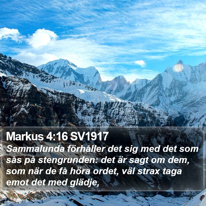 Markus 4:16 SV1917 Bible Study