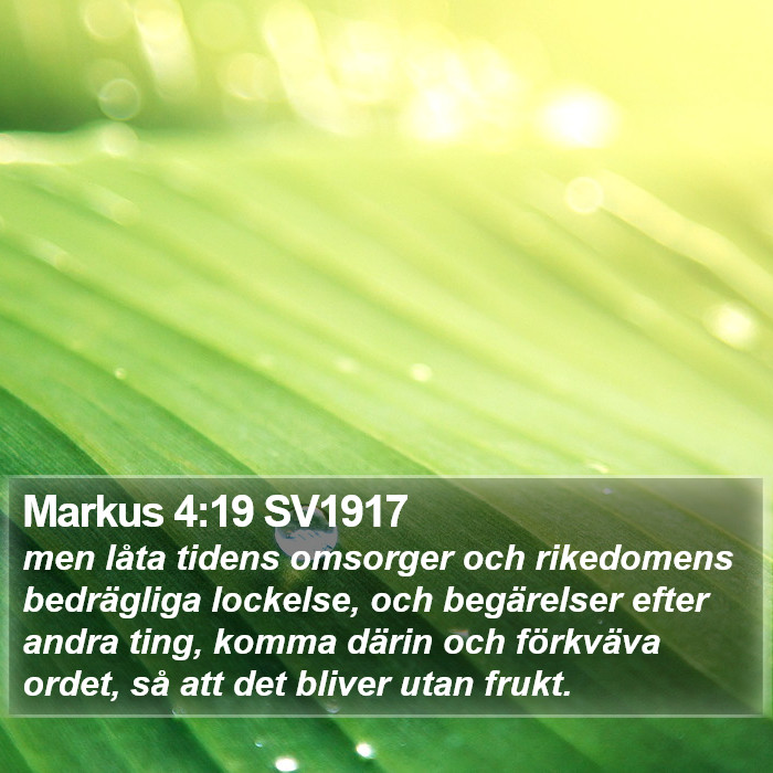 Markus 4:19 SV1917 Bible Study