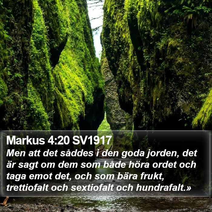 Markus 4:20 SV1917 Bible Study