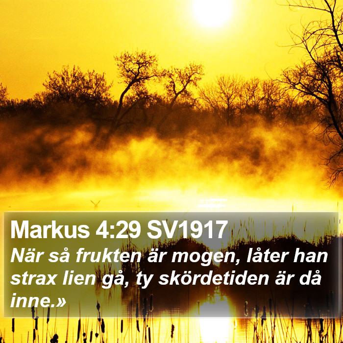 Markus 4:29 SV1917 Bible Study