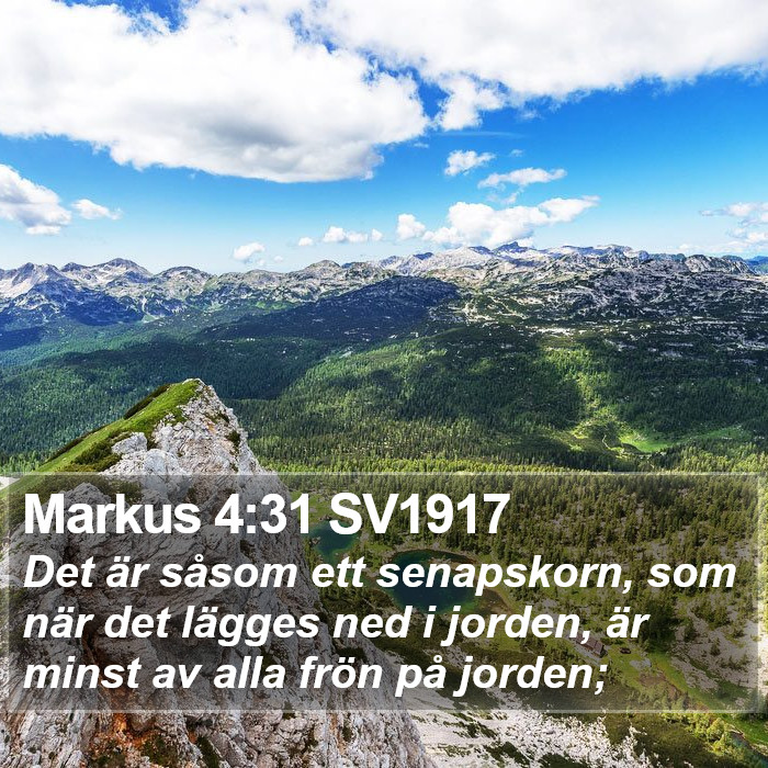 Markus 4:31 SV1917 Bible Study