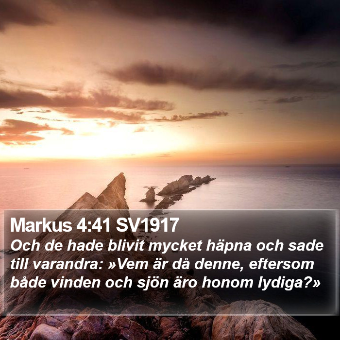 Markus 4:41 SV1917 Bible Study