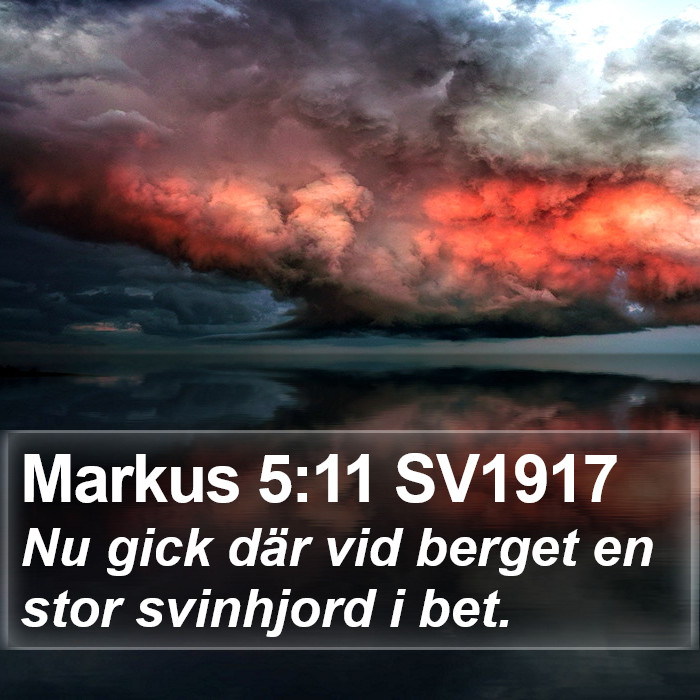 Markus 5:11 SV1917 Bible Study