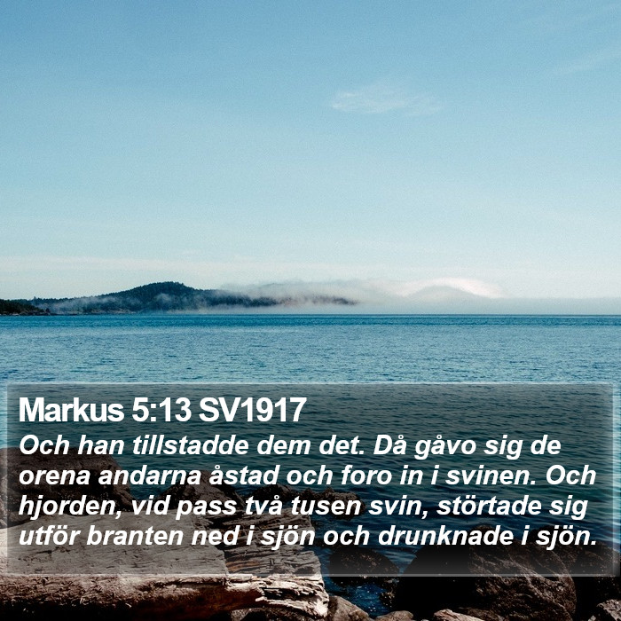 Markus 5:13 SV1917 Bible Study