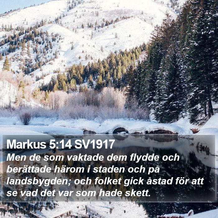 Markus 5:14 SV1917 Bible Study