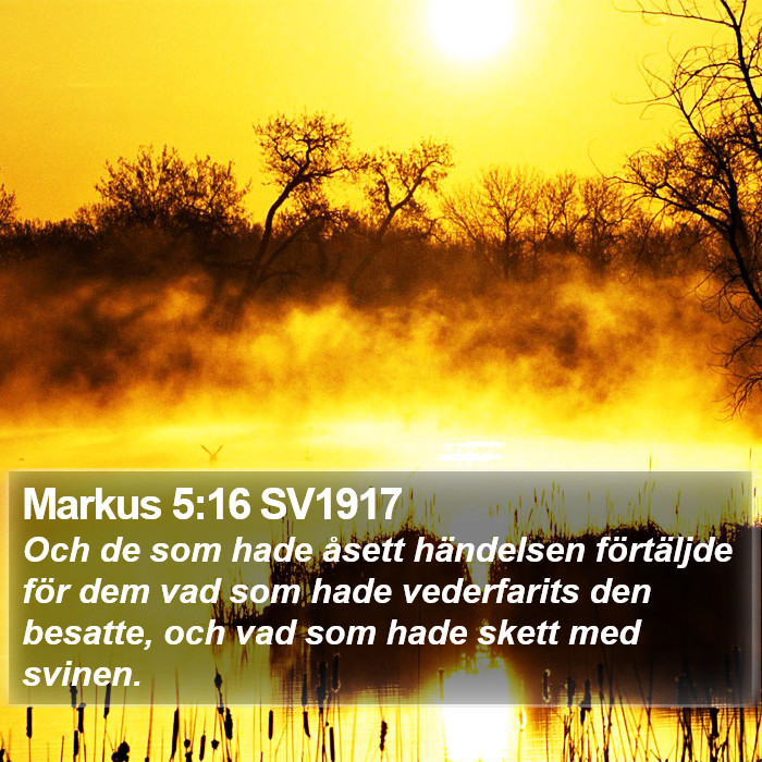 Markus 5:16 SV1917 Bible Study