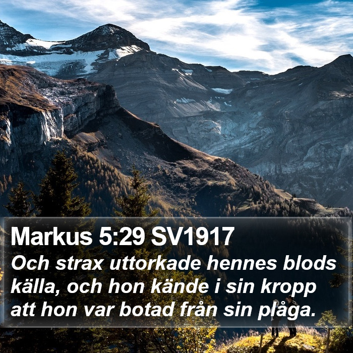 Markus 5:29 SV1917 Bible Study