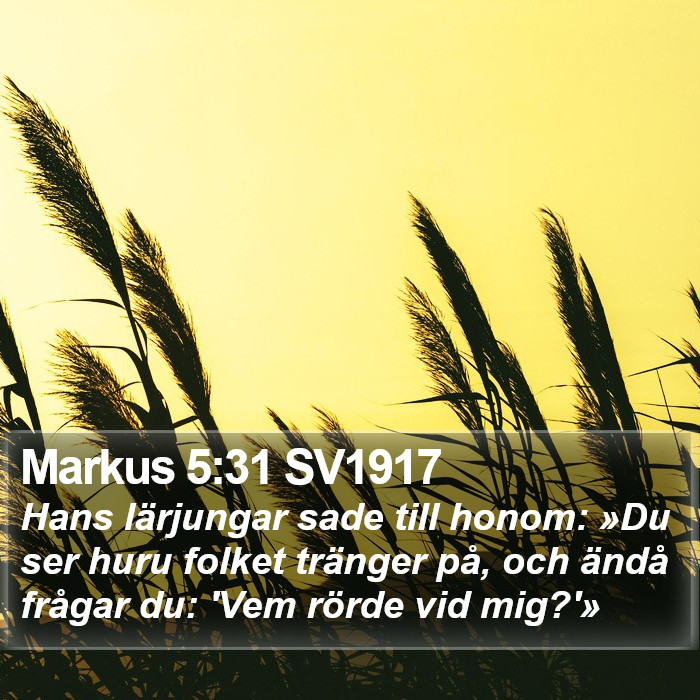 Markus 5:31 SV1917 Bible Study