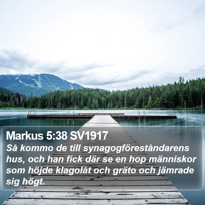 Markus 5:38 SV1917 Bible Study