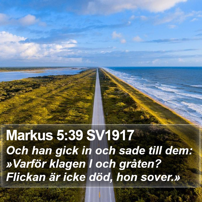 Markus 5:39 SV1917 Bible Study