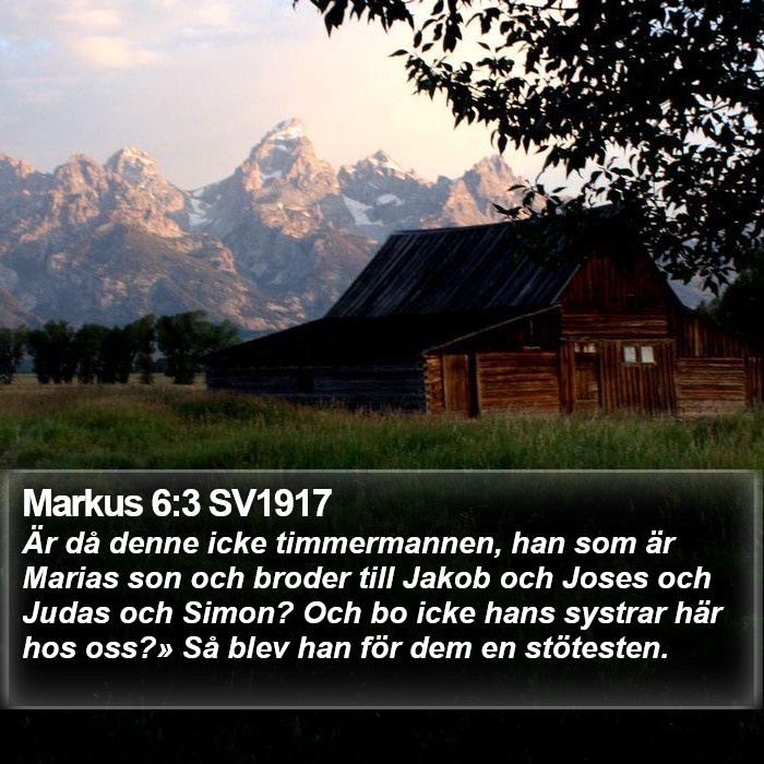 Markus 6:3 SV1917 Bible Study