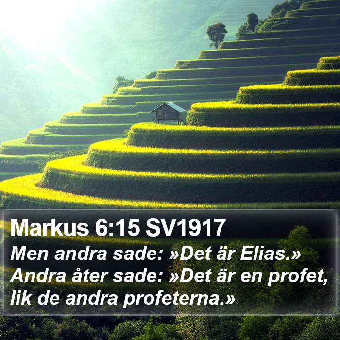 Markus 6:15 SV1917 Bible Study