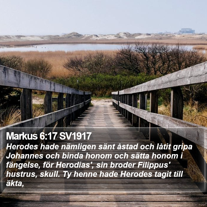 Markus 6:17 SV1917 Bible Study